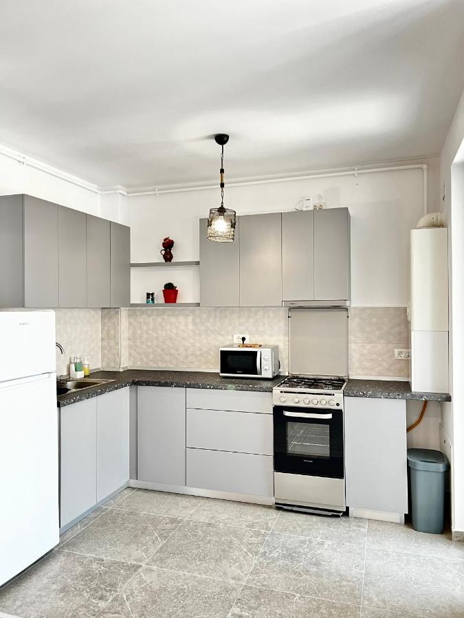 Apartment Mara 2 Timişoara Extérieur photo