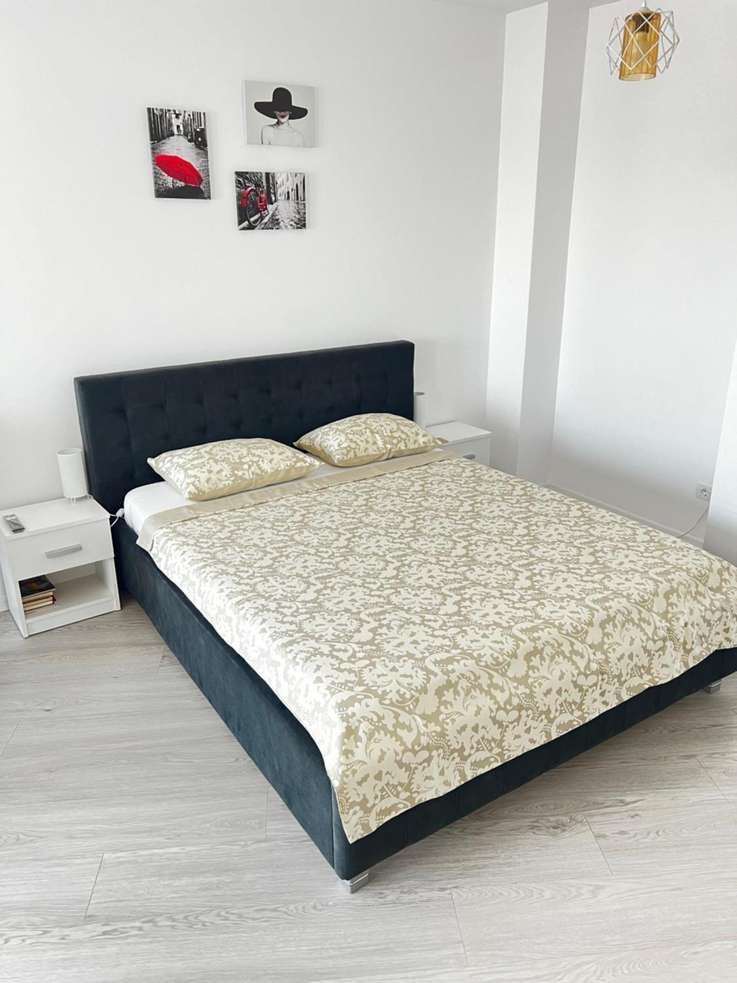 Apartment Mara 2 Timişoara Extérieur photo